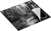 Chefcare Inductie Beschermer Voetpad in het Bos - Zwart Wit - 59x51 cm - Afdekplaat Inductie - Kookplaat Beschermer - Inductie Mat