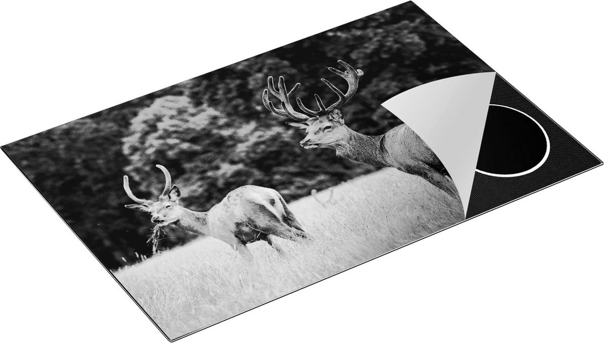 Chefcare Inductie Beschermer Twee Etende Herten in de Weide - Zwart Wit - 83x51,5 cm - Afdekplaat Inductie - Kookplaat Beschermer - Inductie Mat