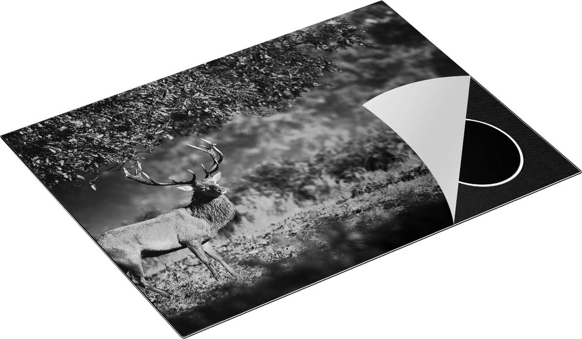 Chefcare Inductie Beschermer Hert onder een Boom in de Weide - Zwart Wit - 70x55 cm - Afdekplaat Inductie - Kookplaat Beschermer - Inductie Mat