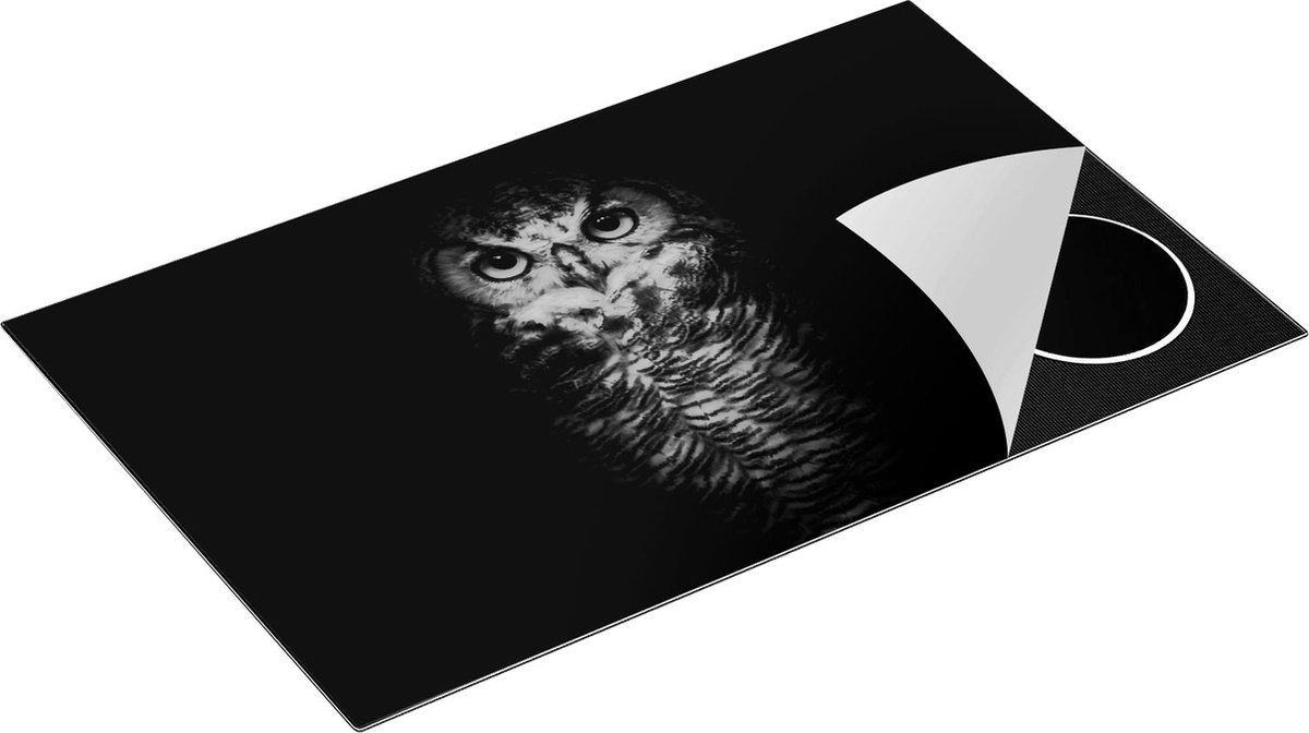 Chefcare Inductie Beschermer Uil op een Tak in de Nacht - Zwart Wit - 85x50 cm - Afdekplaat Inductie - Kookplaat Beschermer - Inductie Mat