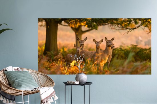 Stickers muraux - Film autocollant - Animaux de la forêt - Cerf - Lumière - 120x60 cm - Film adhésif - Stickers muraux chambre d'enfant - Papier peint autocollant - Papier peint autocollant - Film autocollant