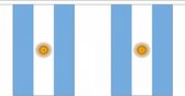 Luxe Argentinie vlaggenlijn 9 m