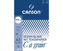 Canson Tekenblok C à grain 224 g/m² formaat 297 x 42 cm (A3)