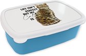 Broodtrommel Blauw - Lunchbox - Brooddoos - Katten - Spreuken - Quotes - Life isn't perfect but my cat is - 18x12x6 cm - Kinderen - Jongen