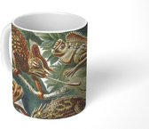 Mok - Koffiemok - Vintage - Kunst - Ernst Haeckel - Salamanders - Dieren - Mokken - 350 ML - Beker - Koffiemokken - Theemok