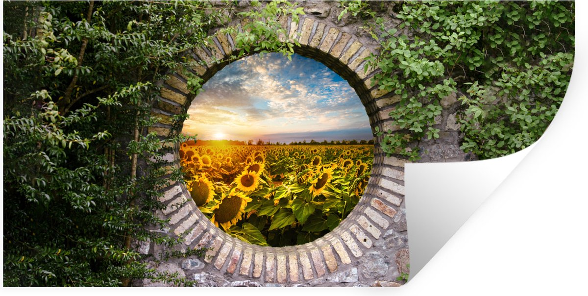 Muurstickers - Sticker Folie - Zonnebloemen - Doorkijk - Bloemen - Zon - 120x60 cm - Plakf