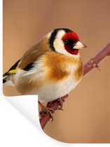 Muurstickers - Sticker Folie - Putter - Vogel - Dieren - 60x80 cm - Plakfolie - Muurstickers Kinderkamer - Zelfklevend Behang - Zelfklevend behangpapier - Stickerfolie