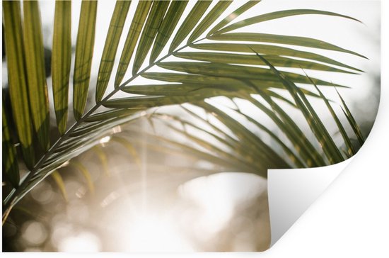 Supzone Stickers Muraux Plantes Tropicales - 3 Feuilles 30x90cm - Vinyle Amovible Sans Trace