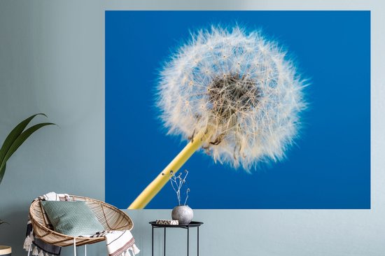 Stickers muraux - Film autocollant - Pissenlit - Bloem - Terrasse - 160x120 cm - Film adhésif - Stickers muraux Chambre d'enfant - Papier peint autocollant XXL