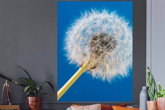 Stickers muraux - Film autocollant - Pissenlit - Bloem - Terrasse - 120x160 cm - Film adhésif - Stickers muraux Chambre d'enfant - Papier peint autocollant XXL