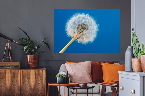 Stickers muraux - Film autocollant - Pissenlit - Bloem - Terrasse - 120x80 cm - Film adhésif - Stickers muraux Chambre d'enfant - Papier peint autocollant