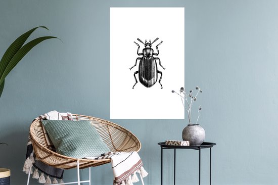Stickers muraux - Scarabée - Animaux - Vintage - 40x60 cm - Film adhésif