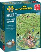 Jan van Haasteren Expert 2: Picknick Plezier puzzel - 500 stukjes met grote korting