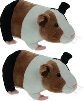 Set van 2x stuks pluche knuffel dieren Cavia bruin/wit van 20 cm - Speelgoed huisdieren knuffels - Cadeau voor jongens/meisjes