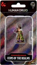 Dungeons and Dragons: Icons of the Realms - Female Human Druid Premium Figure