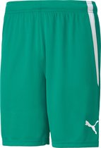 teamLIGA Short  Sportbroek Mannen - Maat M