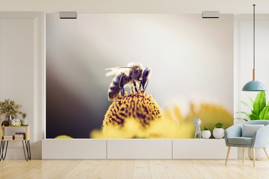 Papier peint Papier peint photo en vinyle - Abeille sur une fleur jaune largeur 450 cm x hauteur 300 cm - Tirage photo sur papier peint (disponible en 7 tailles)