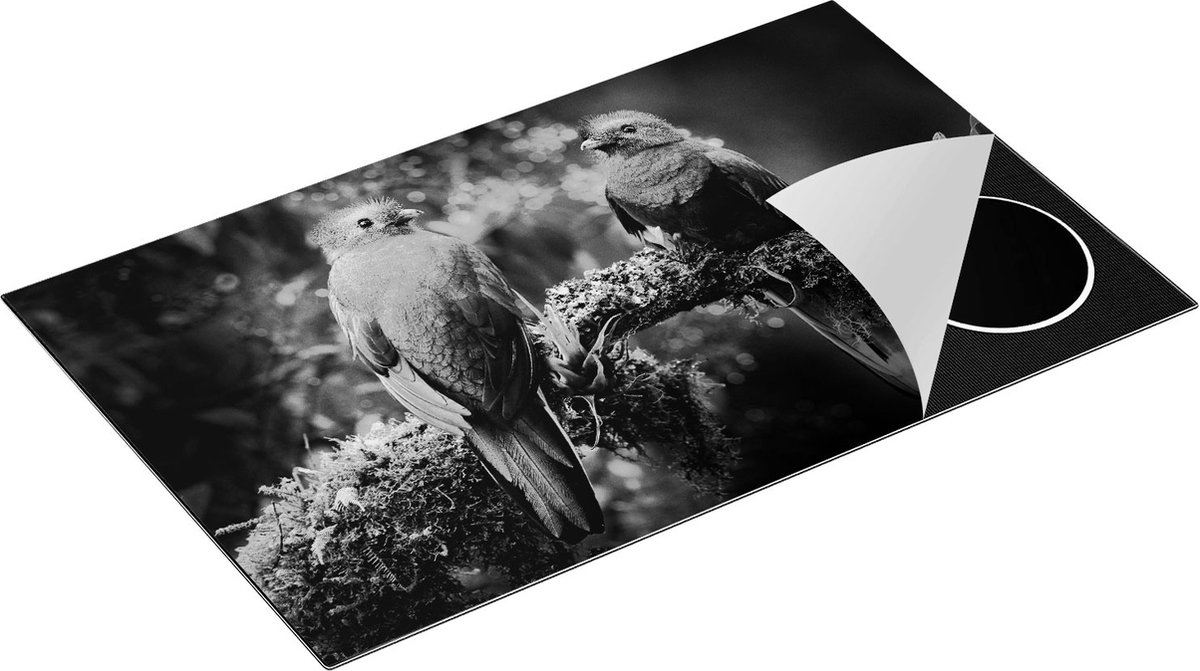 Chefcare Inductie Beschermer Twee Groene Quetzal Vogels op een Tak - Zwart Wit - 85x55 cm - Afdekplaat Inductie - Kookplaat Beschermer - Inductie Mat