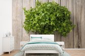 Behang - Fotobehang Samengebonden bos peterselie op een houten ondergrond - Breedte 390 cm x hoogte 260 cm