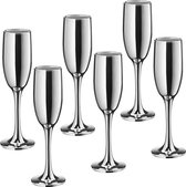 Vikko Décor - Champagne Glazen - Set van 6 Champagne Coupe - Flutes - Zilver