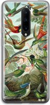 Case Company® - Hoesje geschikt voor OnePlus 7 Pro hoesje - Haeckel Trochilidae - Soft Cover Telefoonhoesje - Bescherming aan alle Kanten en Schermrand