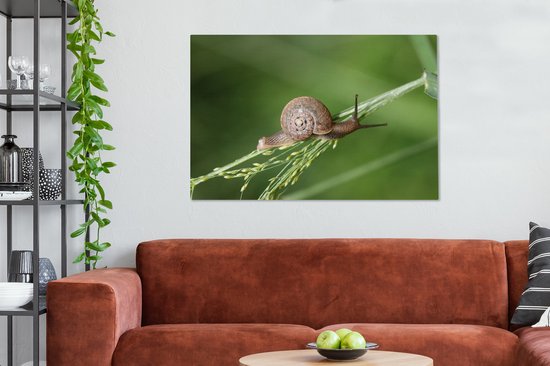 Tableau sur toile Escargot rampant - 120x80 cm - Décoration murale