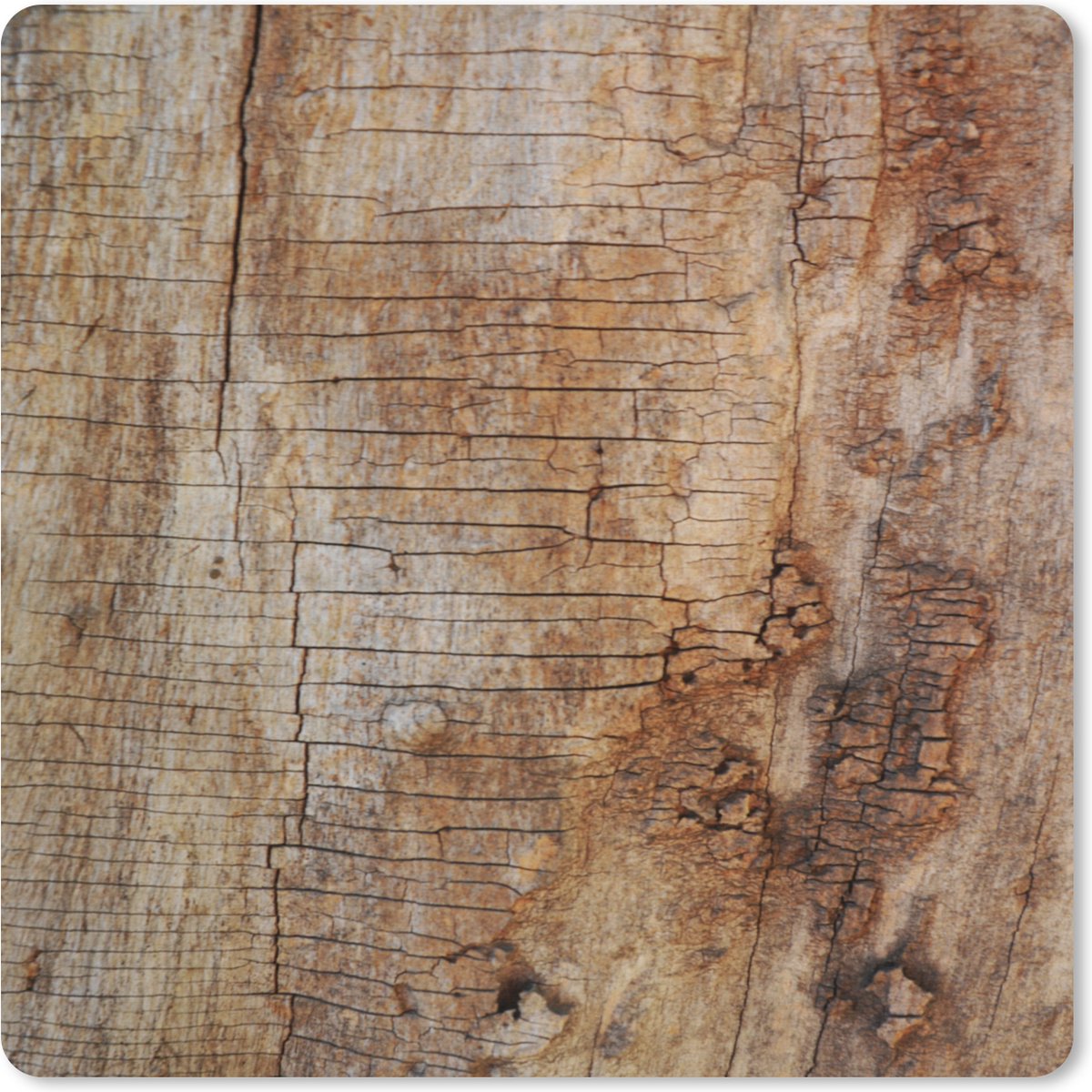 Muismat XXL 80x80 cm - Bureau onderlegger - Bureau mat Boomschors - Boomstam - Hout - Bureaumat - Gaming mousepad xl - Bureaulegger groot - Computer deskmat