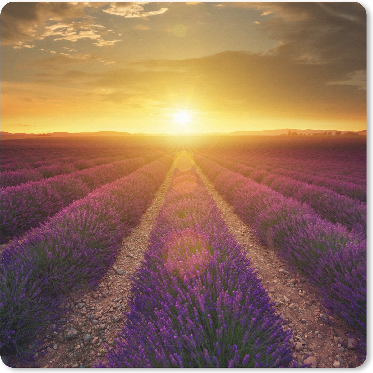 Muismat XXL 60x60 cm - Bureau onderlegger - Bureau mat Zonsondergang - Lavendel - Frankrijk - Bureaumat - Gaming mousepad xl - Bureaulegger groot - Computer deskmat