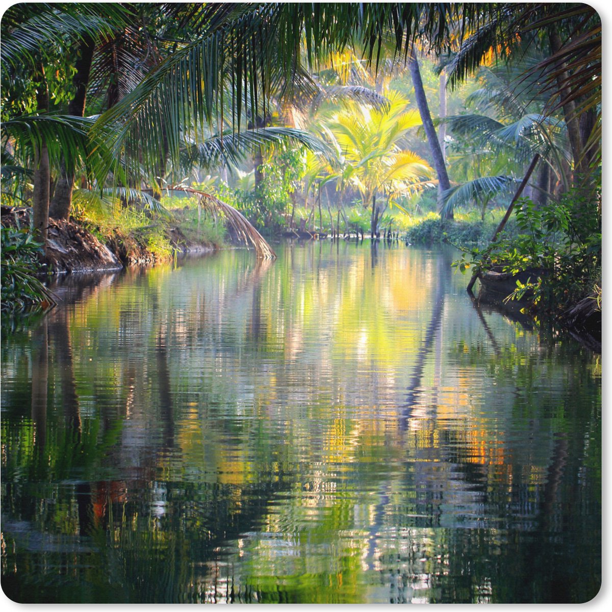 Muismat XXL 50x50 cm - Bureau onderlegger - Bureau mat Tropische weerspiegeling - Bureaumat - Gaming mousepad xl - Bureaulegger groot - Computer deskmat