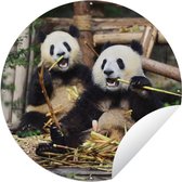 Tuincirkel Panda - Wilde dieren - Bamboe - 120x120 cm - Ronde Tuinposter - Buiten XXL / Groot formaat!