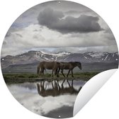 Tuincirkel Paarden - IJsland - Natuur - 60x60 cm - Ronde Tuinposter - Buiten