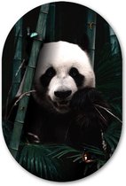 Mur Ovale Jungle Panda - WallCatcher | Verre acrylique 100x150 cm | Peinture ovale | Ours panda ovale mural