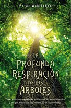Ares y Mares - Los árboles te enseñarán a ver el bosque (ebook), Joaquin  Araujo |... | bol.com