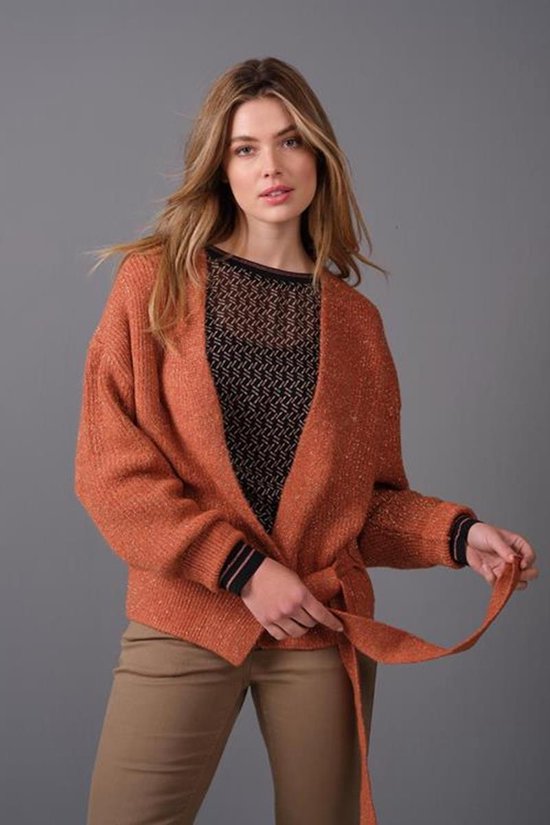 DIDI Dames Lurex wrap around vest brick met gouden lurex maat 46