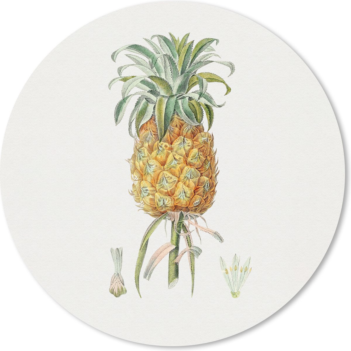 Muismat rond 30x30 cm - Mousepad Ananas - Fruit - Plant - Ronde muismatten