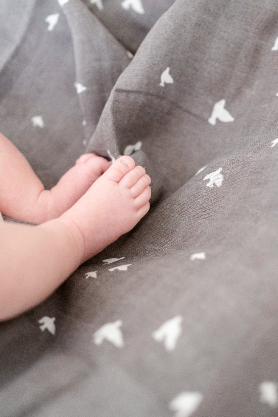 Briljant Baby Hydrofiel Multidoek XL Birds - Swaddle - Inbakerdoek - Antraciet - 120x120 - 2 Stuks - Organic van Briljant — afbeelding 4