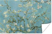 Poster Van Gogh - Amandelbloesem - Oude meesters - Kunst - Vintage - 120x80 cm