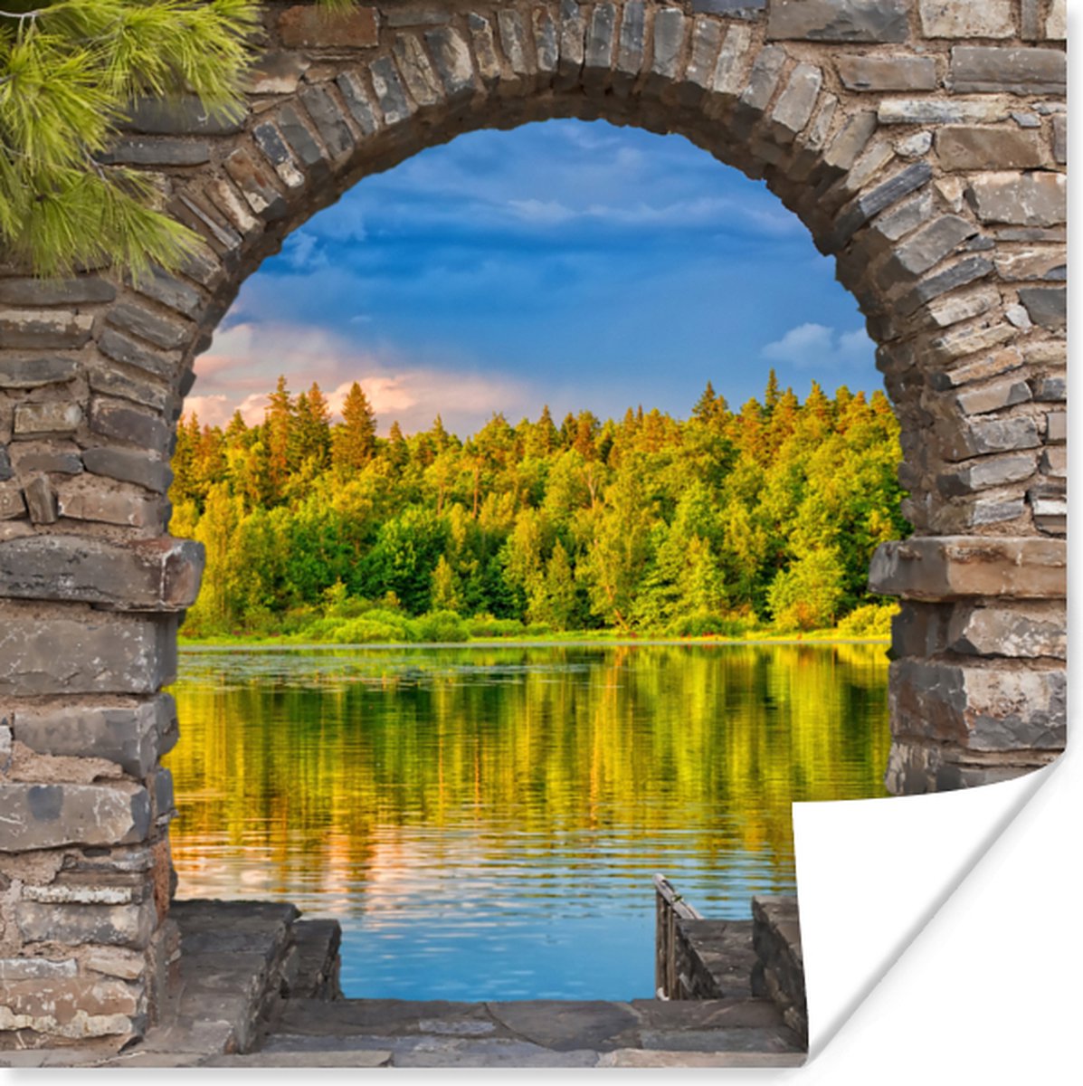 Poster Bomen - Bos - Water - Doorkijk - 75x75 cm