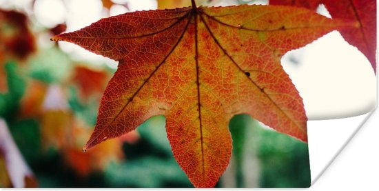 Poster Herfst - Landelijk - Bladeren - Seizoenen - Landelijk - 120x60 cm