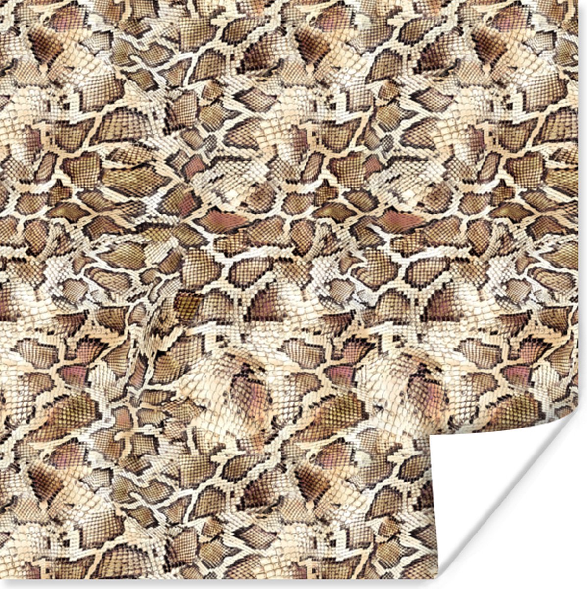 Poster Slang - Dieren - Design - 50x50 cm
