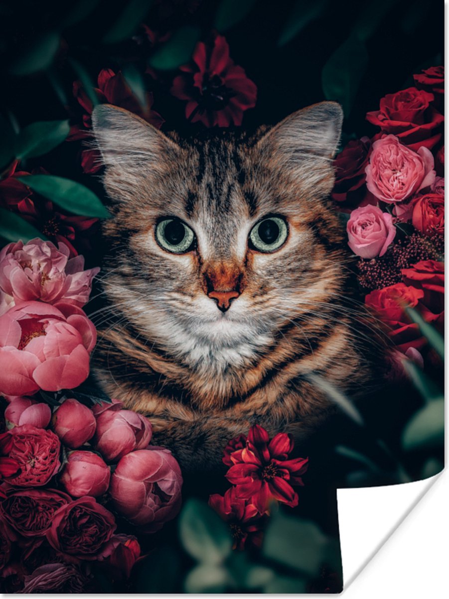 Poster Kat - Bloemen - Dieren - Botanisch - 60x80 cm