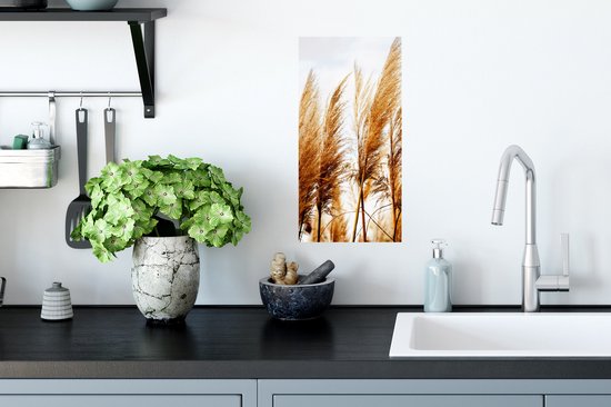 Poster Pampasgras - Zon - Gras - 20x40 cm
