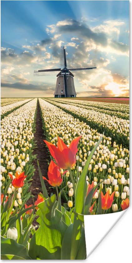 Poster Windmolen - Tulpen - Lucht - Natuur - 20x40 cm