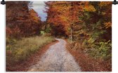 Tapisserie - Tapisserie - Automne - Feuilles d'automne - Chemin - Forêt - 150x100 cm - Tapisserie