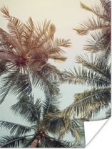 Poster Palmboom - Zomer - Tropisch - 30x40 cm