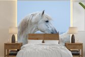 Behang - Fotobehang Paard fluistert iets aan een ander paard in Camargue - Breedte 280 cm x hoogte 280 cm
