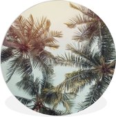WallCircle - Wall Circle - Wall Circle Indoor - Palmier - Été - Tropical - 140x140 cm - Décoration murale - Peintures Ronds