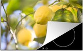 KitchenYeah® Inductie beschermer 81x52 cm - citroenen in een boom - Kookplaataccessoires - Afdekplaat voor kookplaat - Inductiebeschermer - Inductiemat - Inductieplaat mat