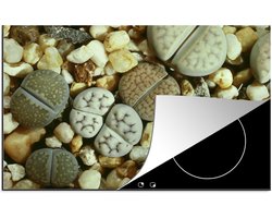 KitchenYeah® Inductie beschermer 81x52 cm - De stenen bloem Lithops in Zuid Afrika - Kookplaataccessoires - Afdekplaat voor kookplaat - Inductiebeschermer - Inductiemat - Inductieplaat mat
