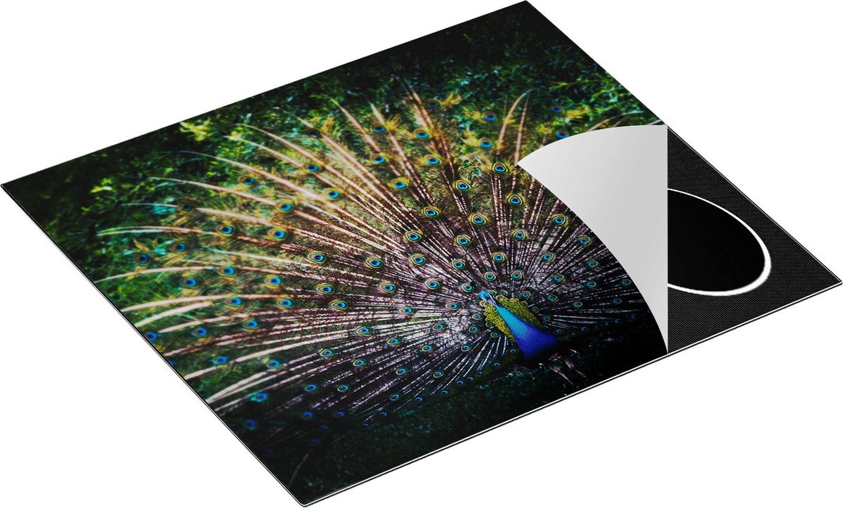 Chefcare Inductie Beschermer Pauw met Kleurrijke Veren - Kleur - 60x50 cm - Afdekplaat Inductie - Kookplaat Beschermer - Inductie Mat